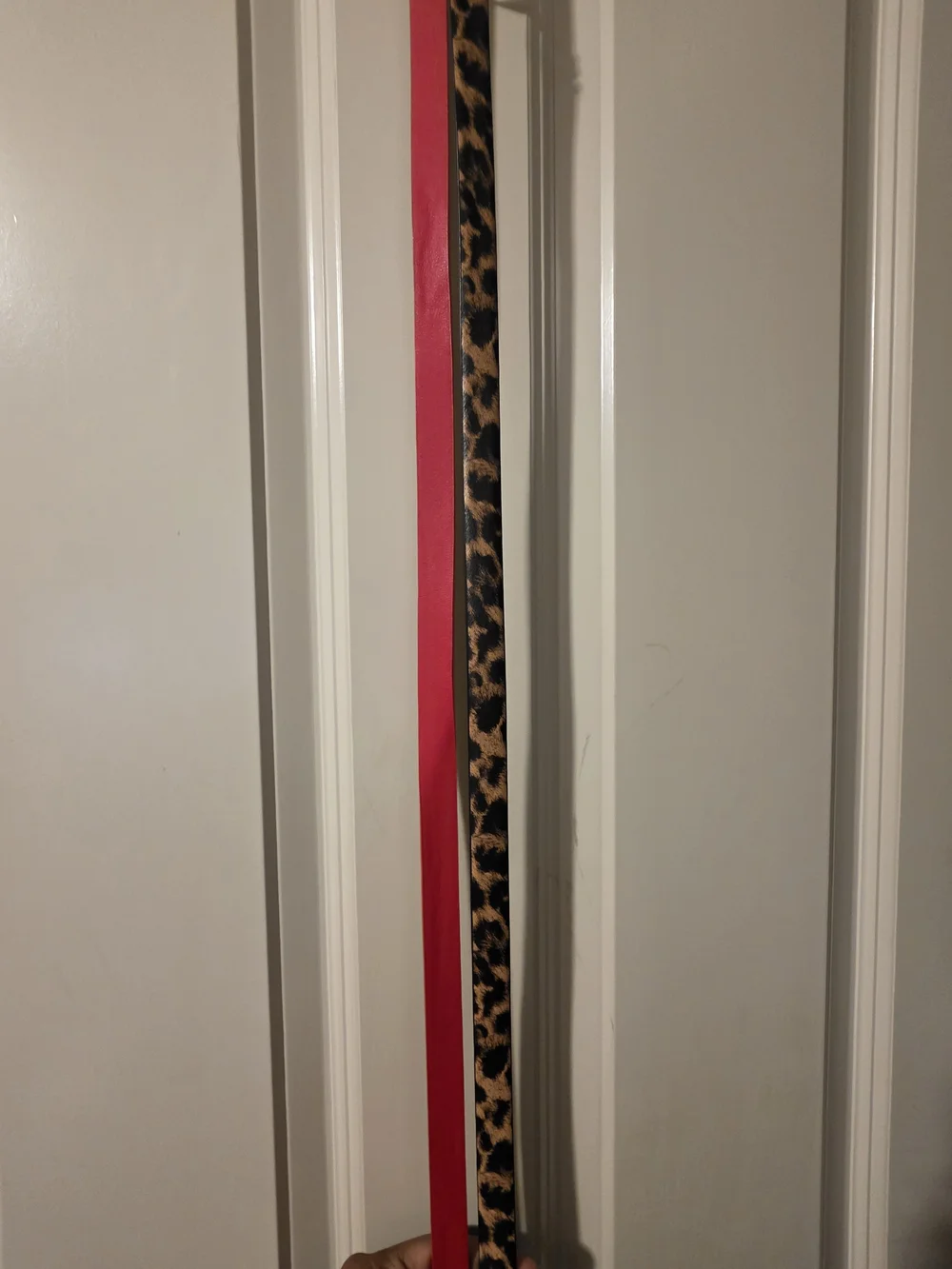 Steve Madden Red Leather Belt & Leopard Print Belt Set with Gold Accents